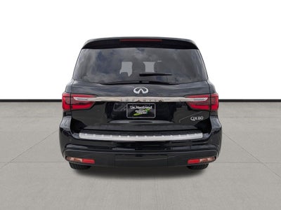 2024 INFINITI QX80 Sensory